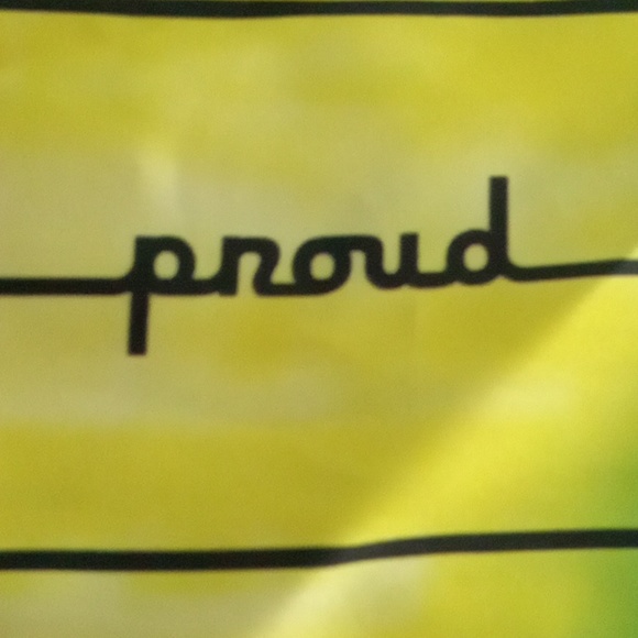 The Phluid PROJECT - Picture 4 of 4